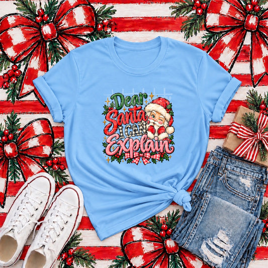 Dear Santa I Can Explain (PHSC)