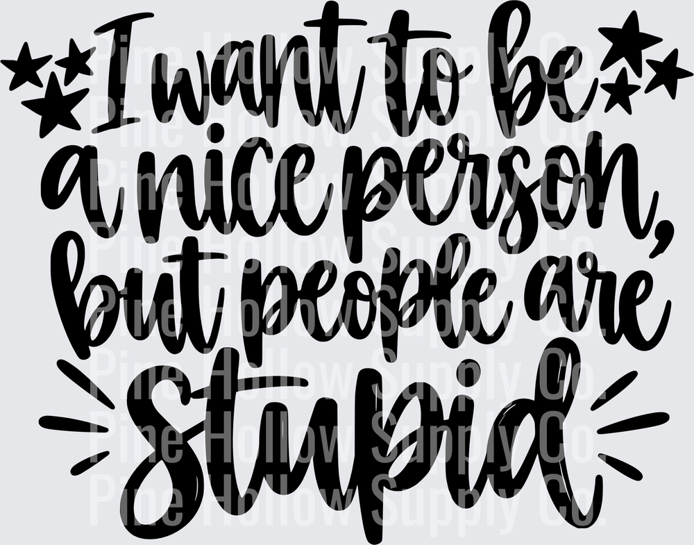 I Want to Be a Nice Person But People Are Stupid | DTF Transfer - Raw Image